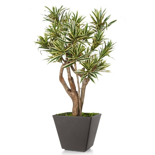 Planta semi-artificiala Ila, Dracaena Reflexa Robustina Variegated - 100 cm